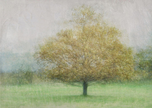 Pasianssi | Valokuvatapetit