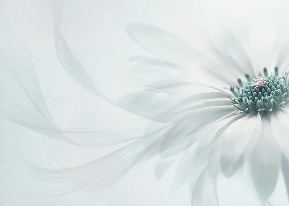 Czystość | Wydruki na łótnie