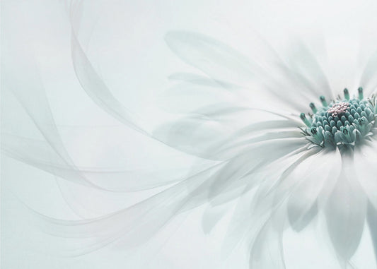 Czystość | Wydruki na łótnie