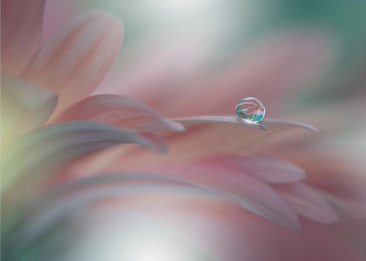 Auringonsäde..II | Valokuvatapetit