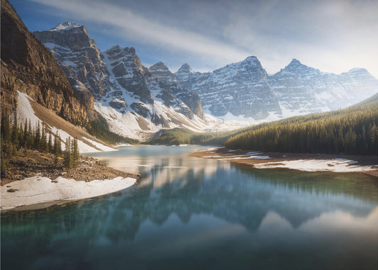 Vanha ystävä. Valokuvatapetit