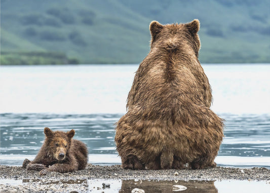 Vastakohdat | Julisteet - Taidevedokset