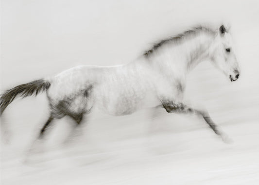 Niepowtarzalny pociąg pędzla | Wydruki na łótnie