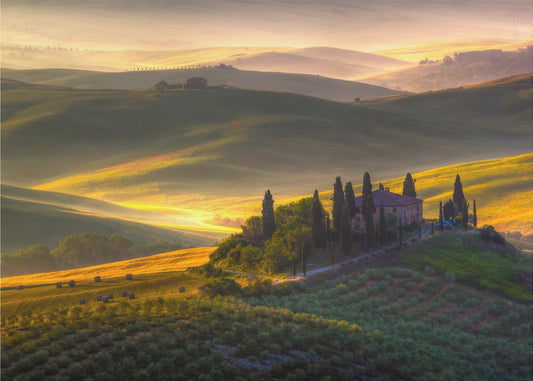 Zieleni i złota | Plakaty - Wydruki Artystyczne