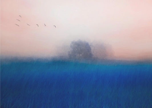 El árbol en el azul | Impresiones en Lienzo