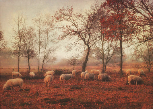 Letzte Herbsttage | Fototapeten