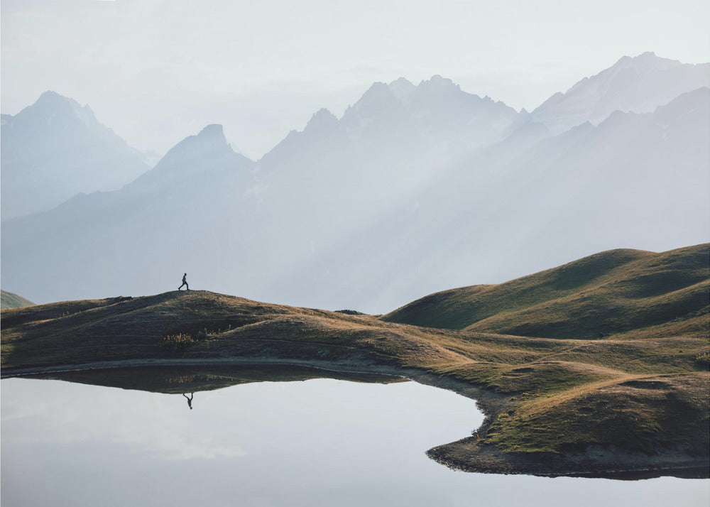 Protegido | Posters  - Impresiones de Arte