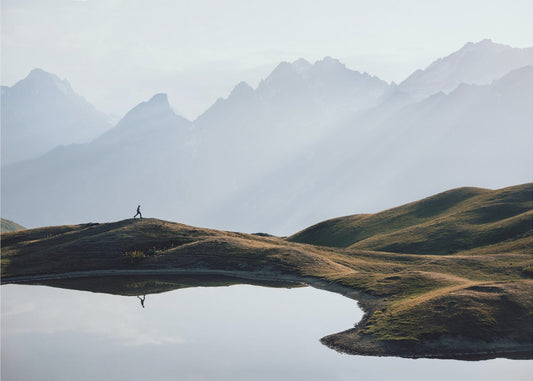 Suojattu | Julisteet - Taidevedokset