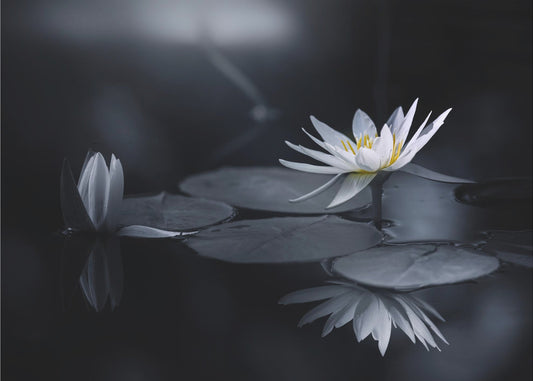 Heijastus | Valokuvatapetit