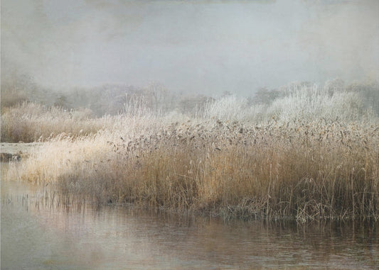 Talviaamu | Valokuvatapetit