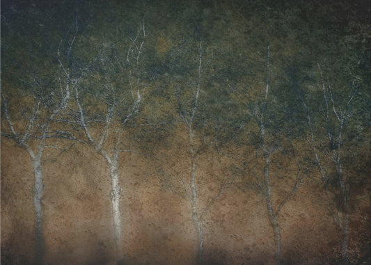 Five in a row | Poster