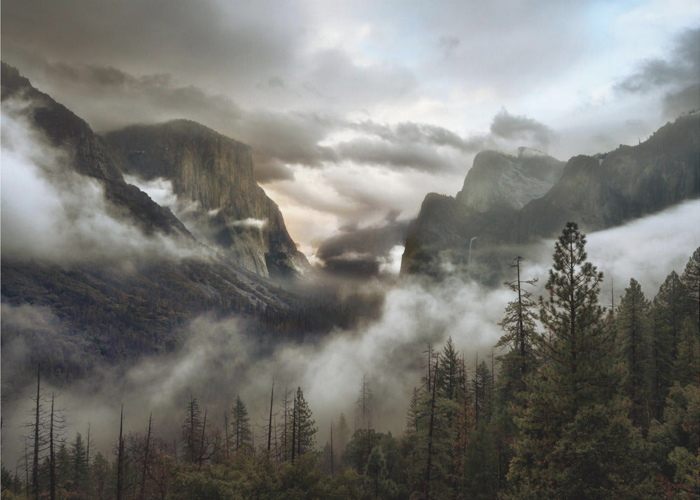 Ylälaakson aamu | Valokuvatapetit