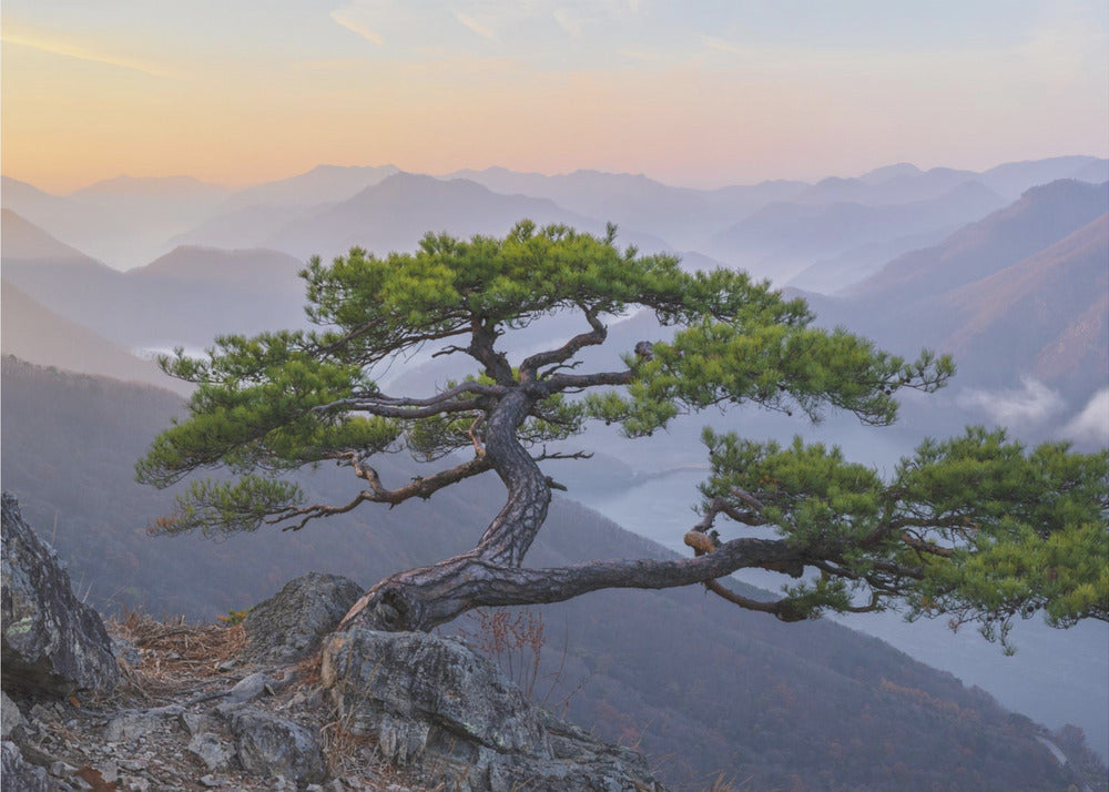 Kun päivä sarastaa | Valokuvatapetit