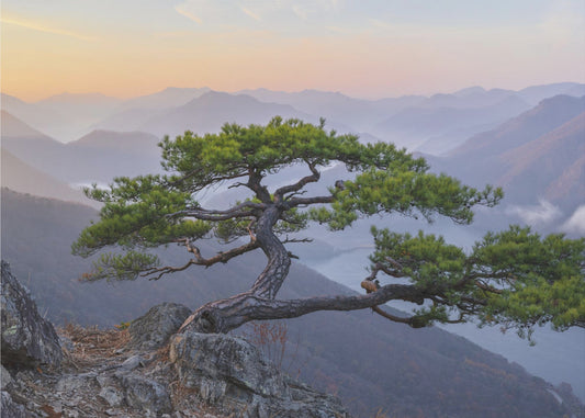 Kun päivä sarastaa | Valokuvatapetit