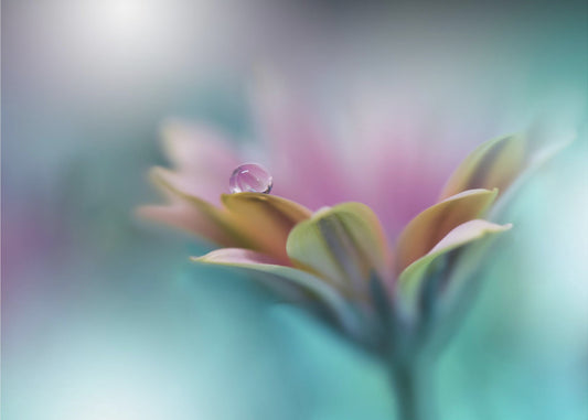 Meren muistoja.. | Valokuvatapetit