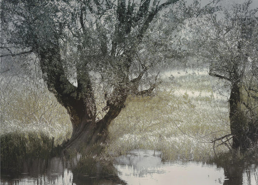 On the water side | Poster