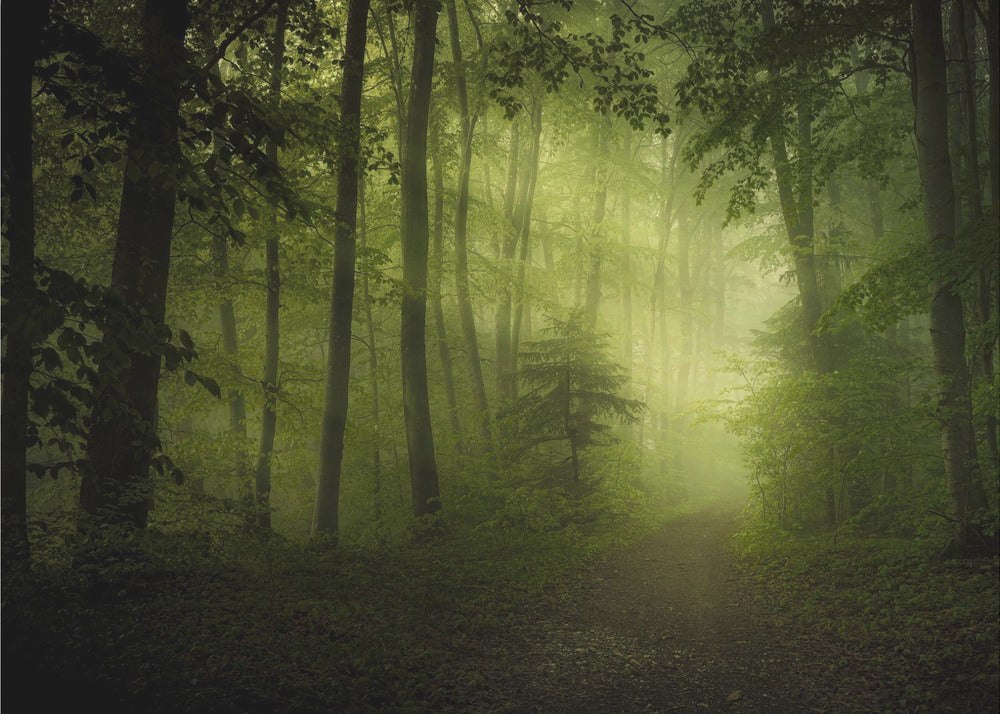 kevään salaisuus | Valokuvatapetit