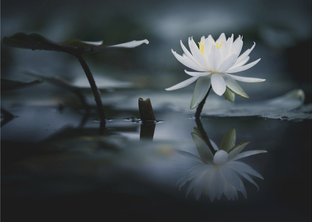 Heijastus | Valokuvatapetit