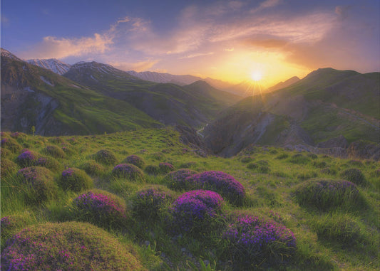 kevät näytillä | Valokuvatapetit