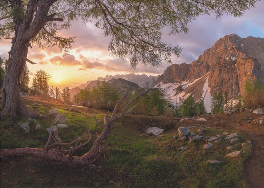 Maaginen aamu | Valokuvatapetit