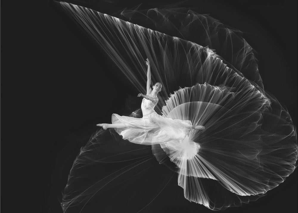 Ven...vamos a bailar | Impresiones en Lienzo