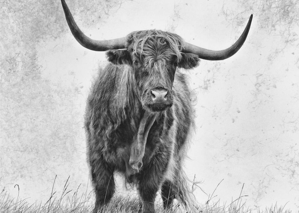 Voima | Valokuvatapetit