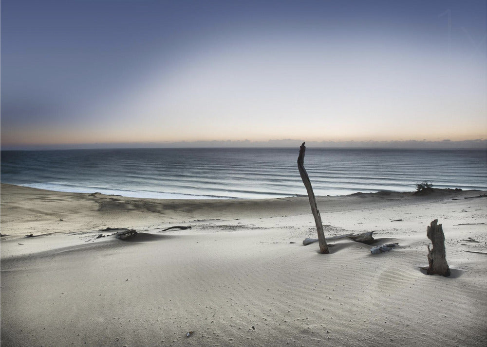 Kurottaudu aurinkoon | Julisteet - Taidevedokset