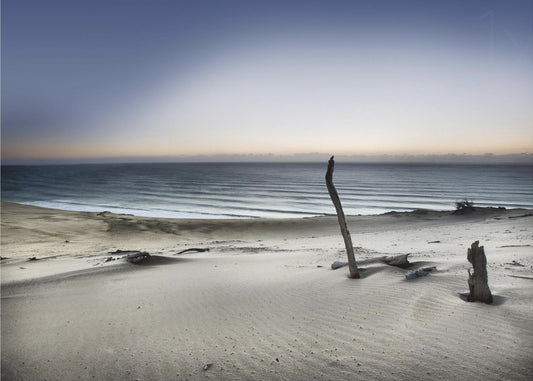 Kurottaudu aurinkoon | Julisteet - Taidevedokset