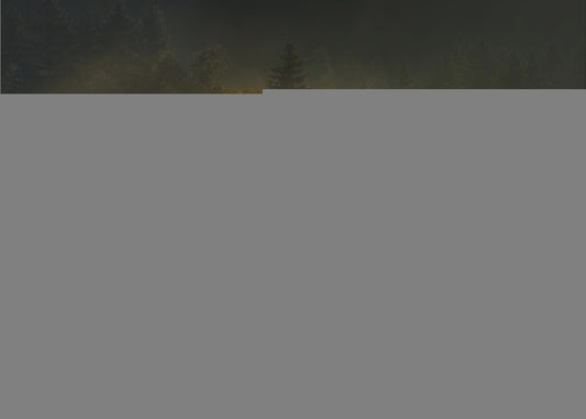 Autumnsphere | Poster