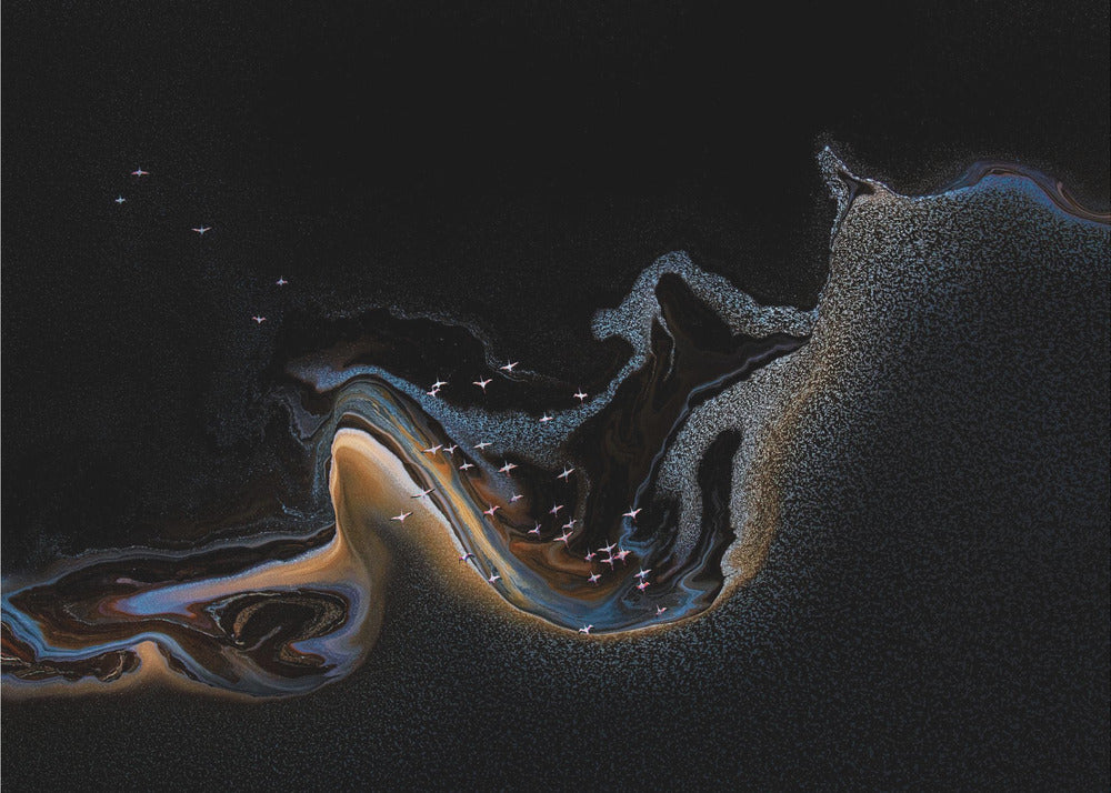 Flamingo järven yli | Valokuvatapetit