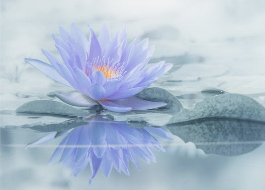 Heijastus | Valokuvatapetit