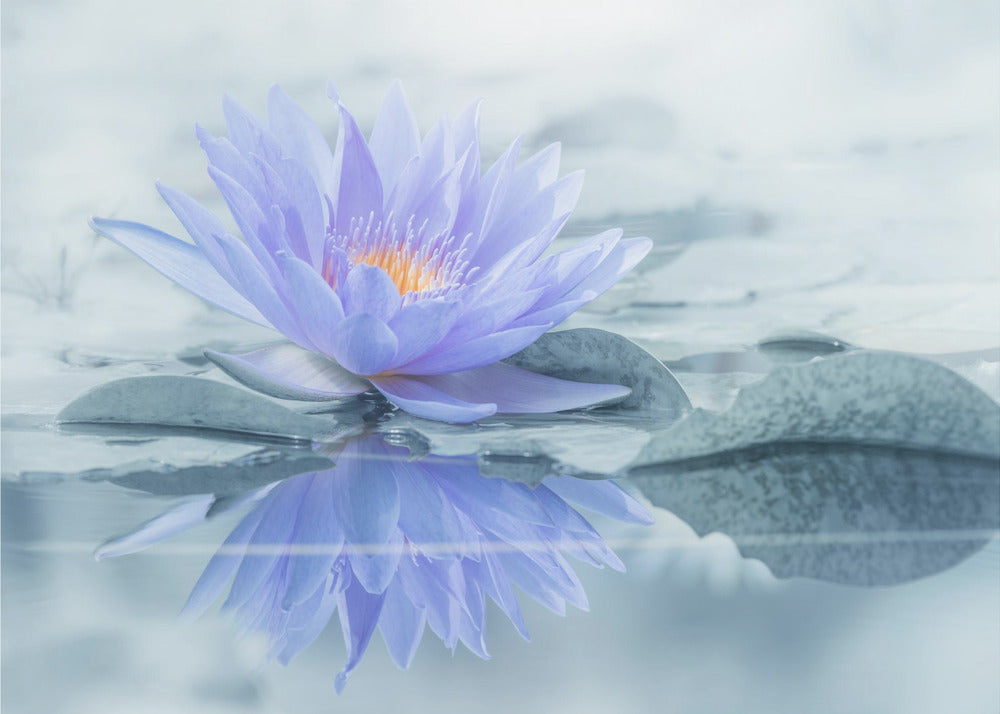 Heijastus | Valokuvatapetit