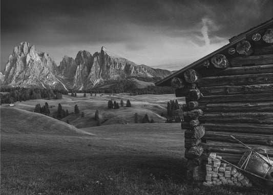 Nimetön | Valokuvatapetit