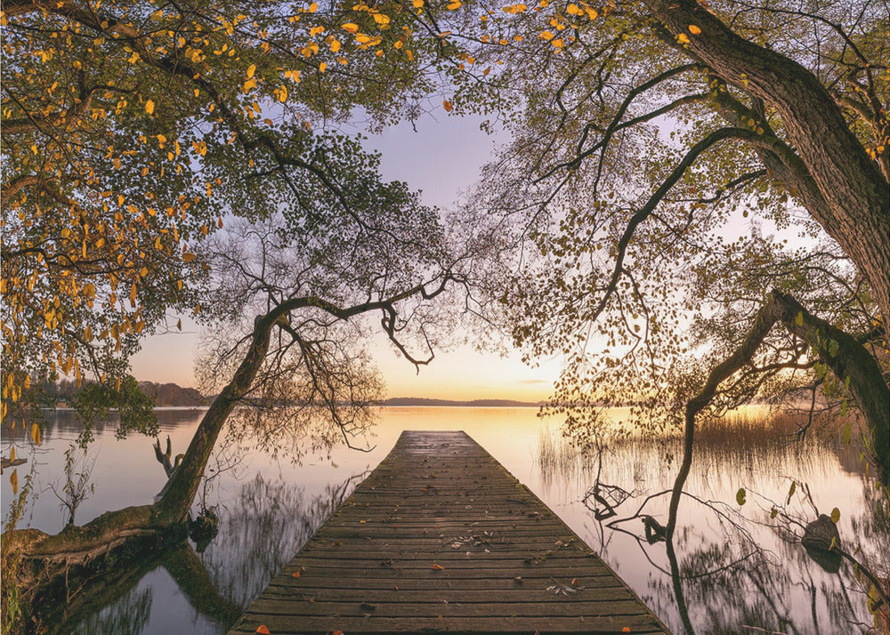 Syksy | Valokuvatapetit