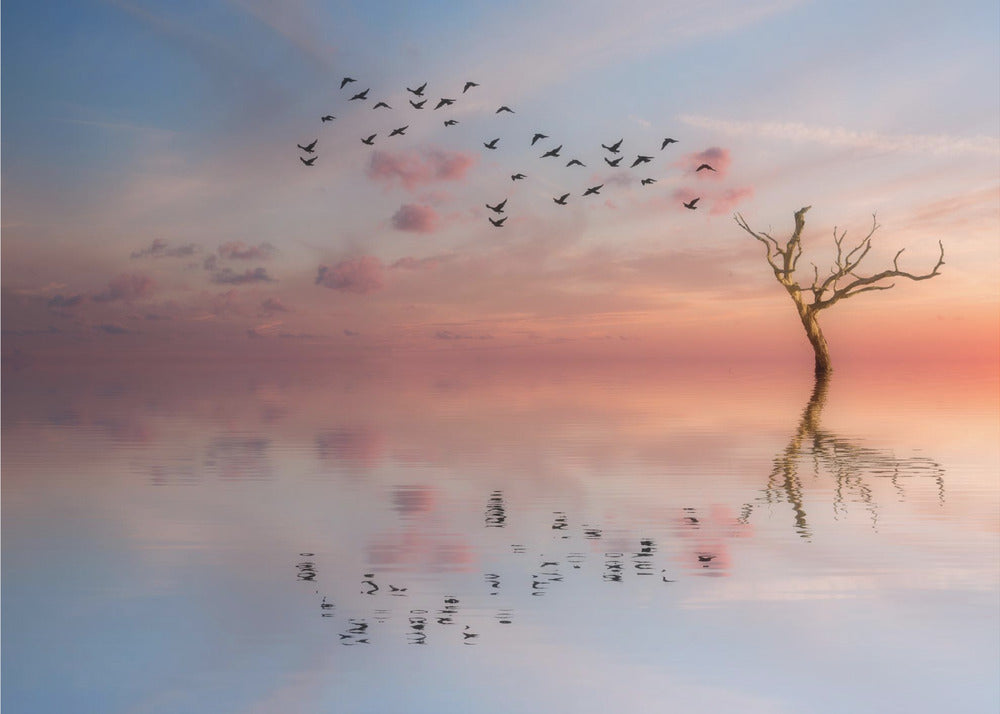 S.T. 006 | Valokuvatapetit