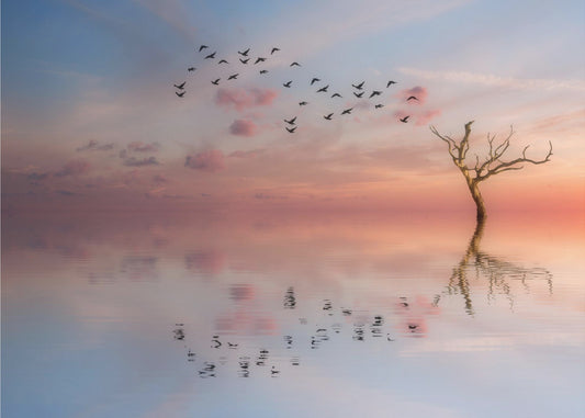 S.T. 006 | Valokuvatapetit