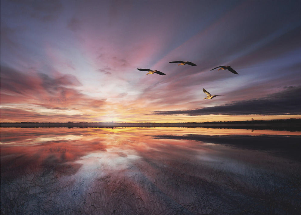 Aamun tunnelmaa.. | Valokuvatapetit