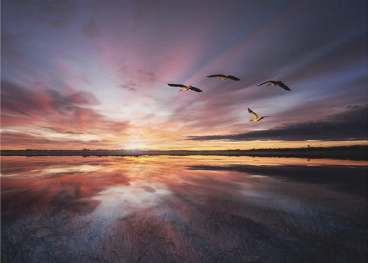 Aamun tunnelmaa.. | Valokuvatapetit