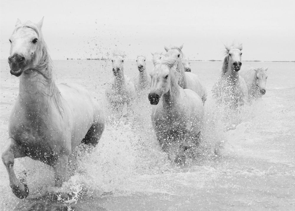 Nadchodzimy | Fototapeta