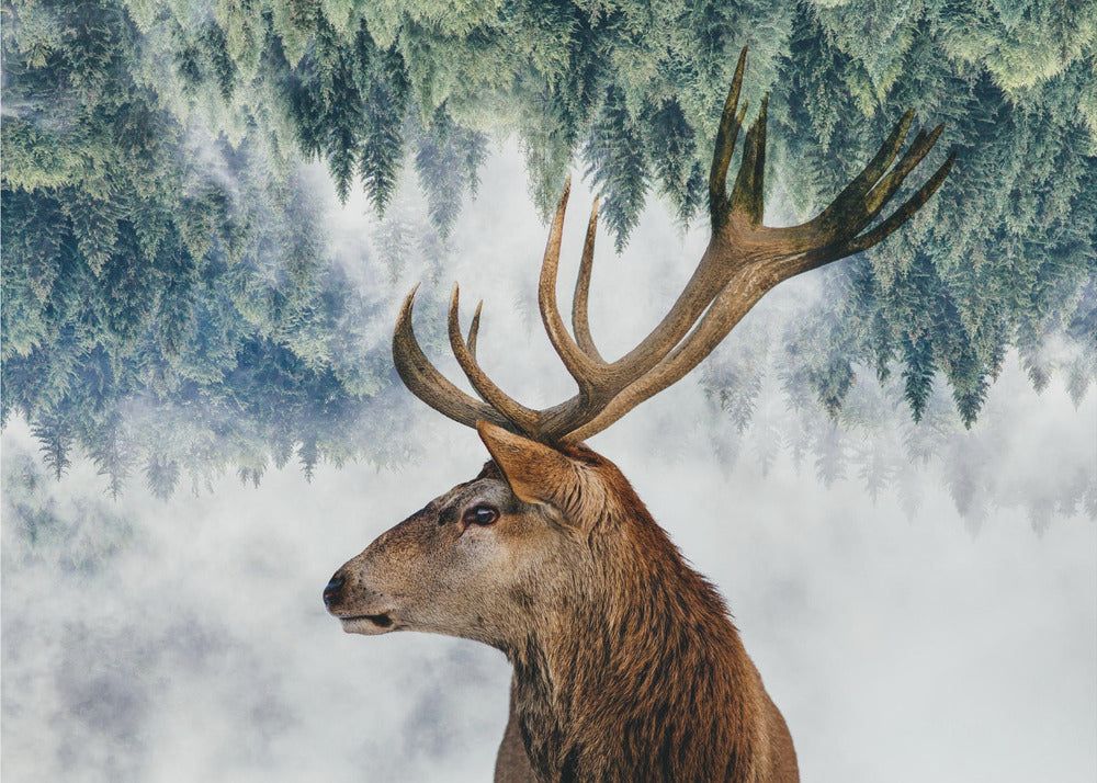 Peura ja metsä | Valokuvatapetit