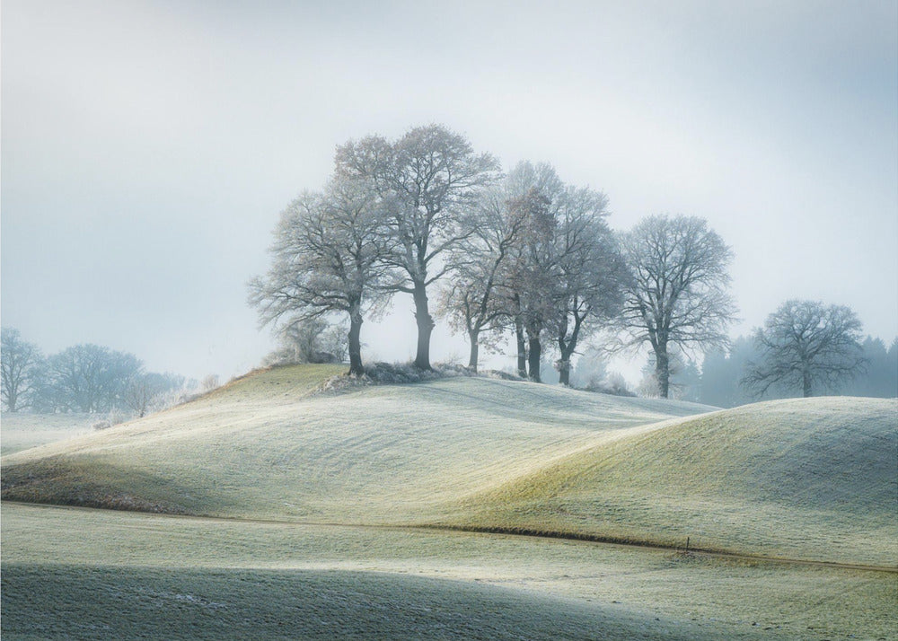 Se ei ole Toscanassa | Valokuvatapetit