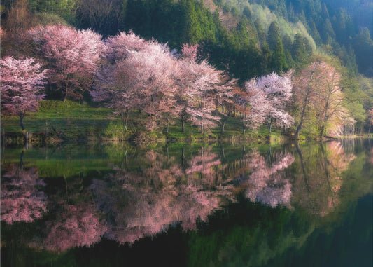 Toinen maailma | Valokuvatapetit