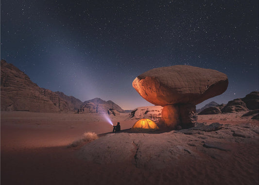 Mashroom Rock | Canvas