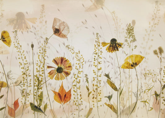 Pellolla... | Valokuvatapetit