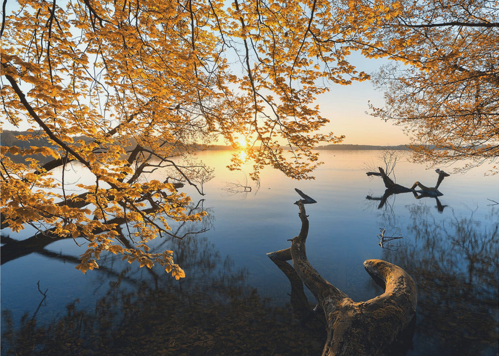 Syksyinen aamu | Valokuvatapetit