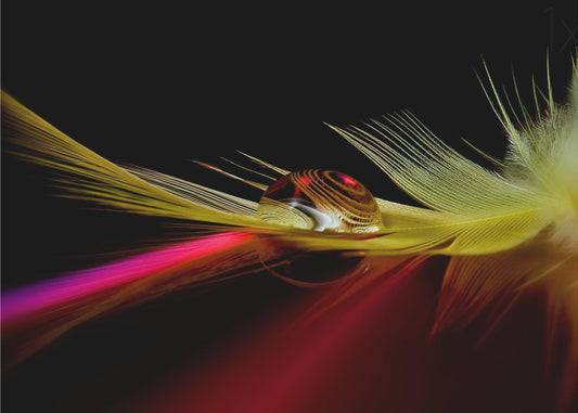 Värit pisarassa | Julisteet - Taidevedokset