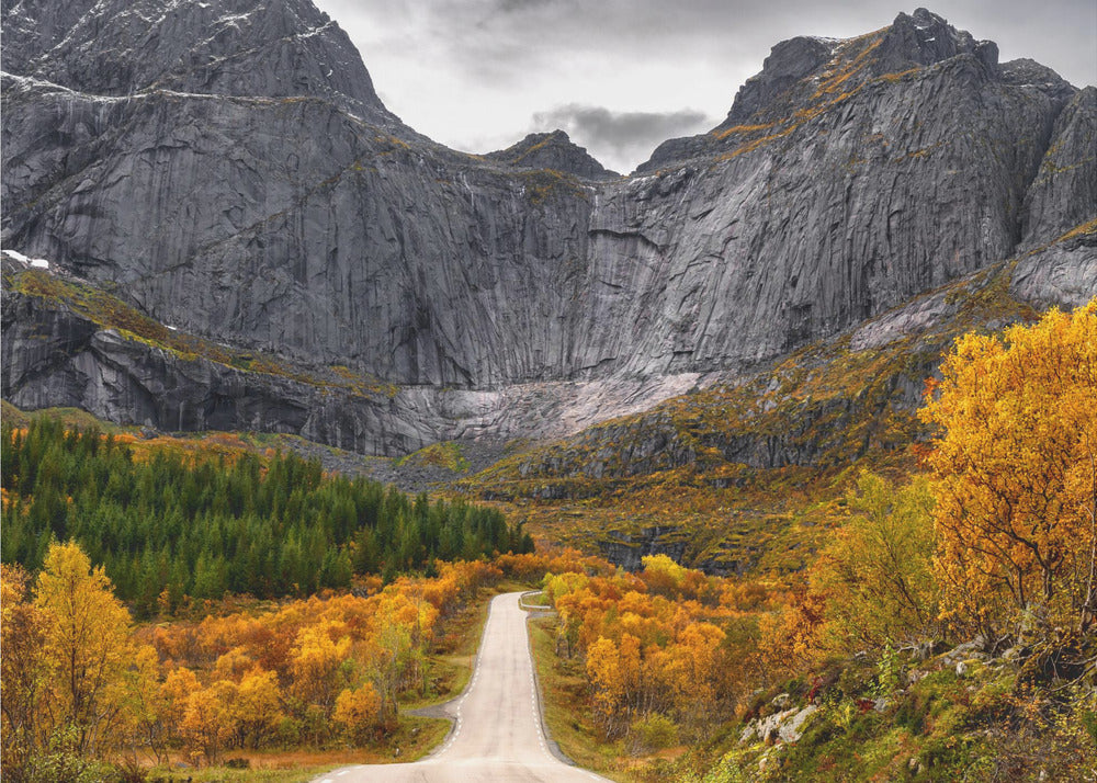 Tie muurille | Valokuvatapetit