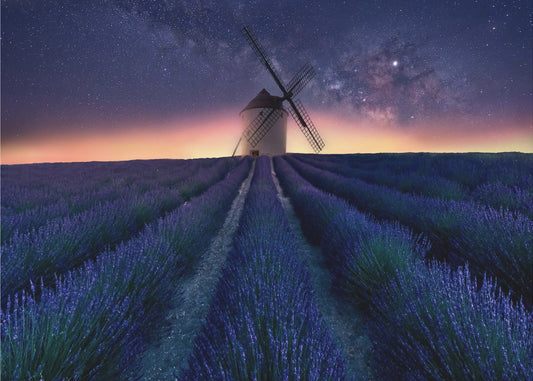 Lavender night | Canvas