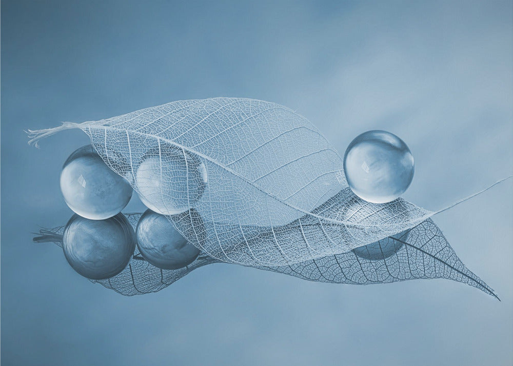 Kuiva lehti ja kuplat | Valokuvatapetit