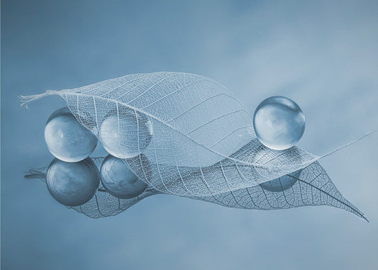 Kuiva lehti ja kuplat | Valokuvatapetit